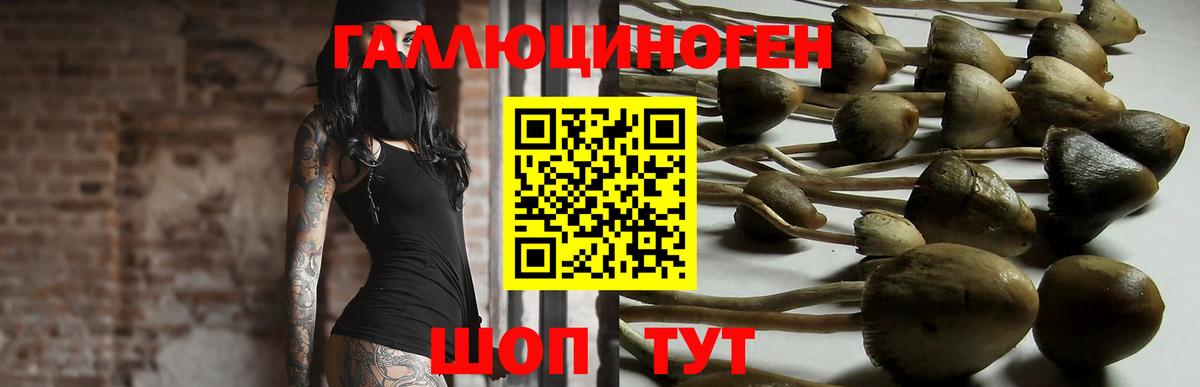 Псилоцибиновые грибы Magic Shrooms  Галлюциногенные грибы ЛСД  Вход с VPN  Торжок 